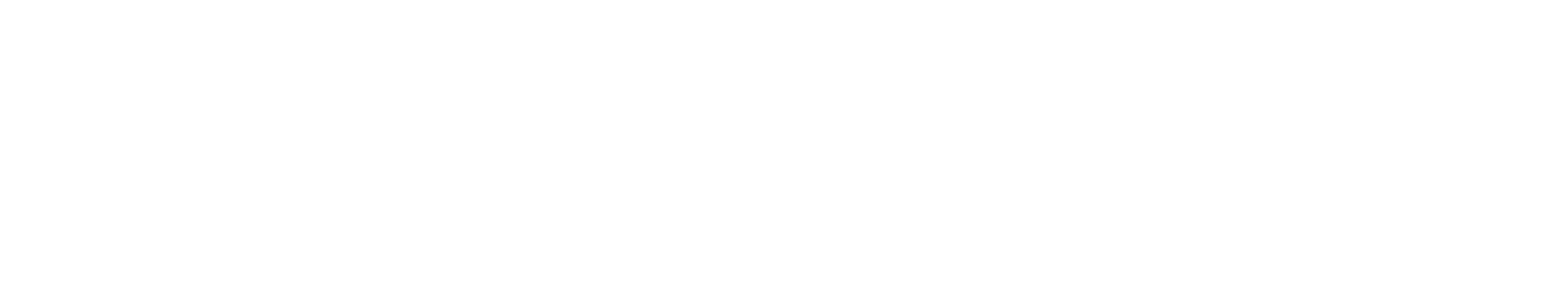Space Ventures